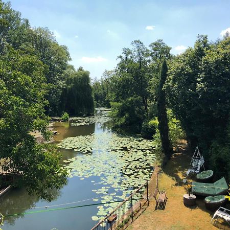 Villa Magnifique Moulin proche Chablis, jacuzzi et rivière à Annay-sur-Serein Extérieur photo