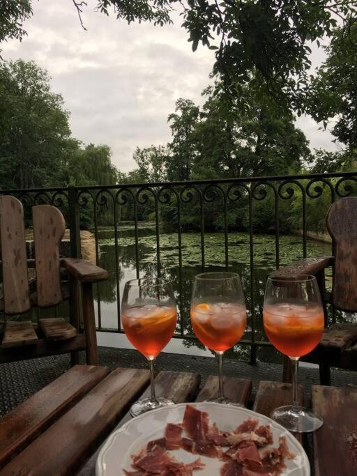 Villa Magnifique Moulin proche Chablis, jacuzzi et rivière à Annay-sur-Serein Extérieur photo
