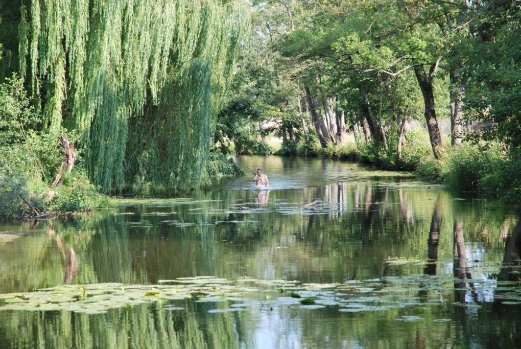 Villa Magnifique Moulin proche Chablis, jacuzzi et rivière à Annay-sur-Serein Extérieur photo