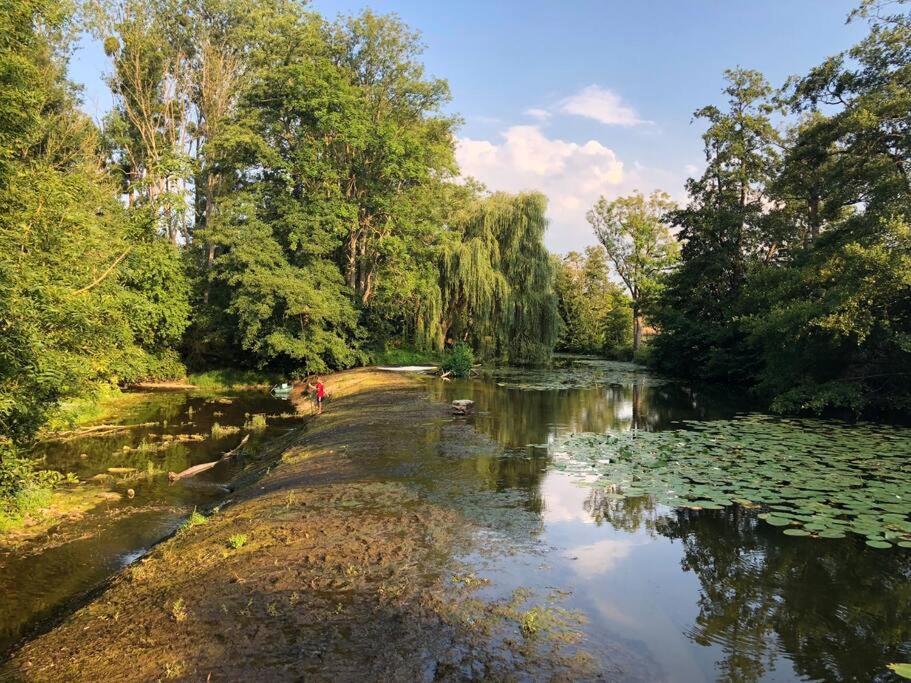 Villa Magnifique Moulin proche Chablis, jacuzzi et rivière à Annay-sur-Serein Extérieur photo